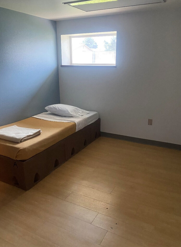 American Behavioral Health